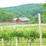 Farm