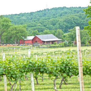 Farm